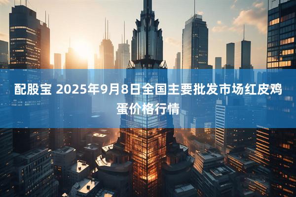 配股宝 2025年9月8日全国主要批发市场红皮鸡蛋价格行情
