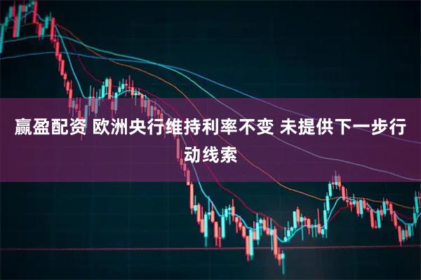 赢盈配资 欧洲央行维持利率不变 未提供下一步行动线索