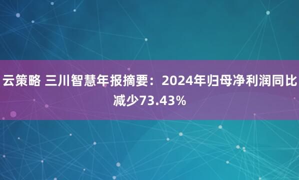 云策略 三川智慧年报摘要：2024年归母净利润同比减少73.43%