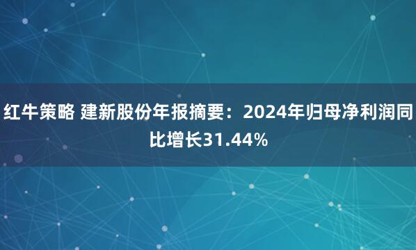 红牛策略 建新股份年报摘要：2024年归母净利润同比增长31.44%