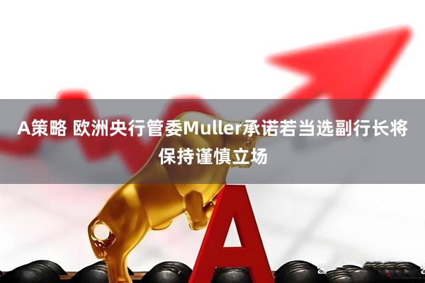 A策略 欧洲央行管委Muller承诺若当选副行长将保持谨慎立场