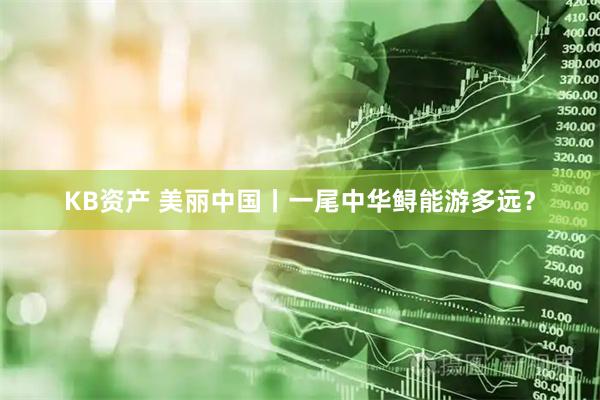 KB资产 美丽中国丨一尾中华鲟能游多远?