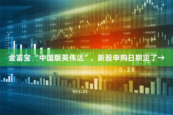 金富宝 “中国版英伟达”，新股申购日期定了→