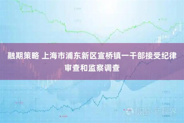 融期策略 上海市浦东新区宣桥镇一干部接受纪律审查和监察调查