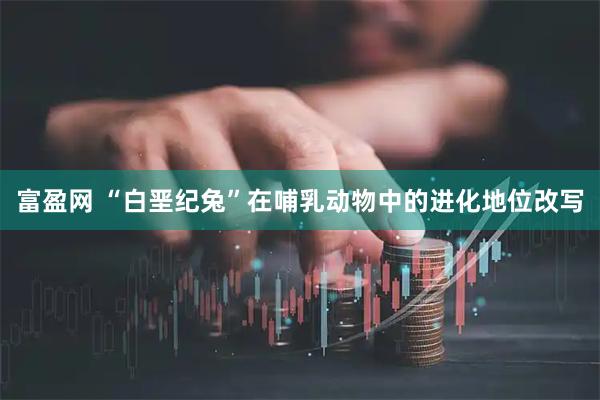 富盈网 “白垩纪兔”在哺乳动物中的进化地位改写