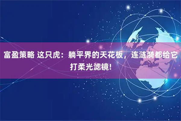 富盈策略 这只虎：躺平界的天花板，连涟漪都给它打柔光滤镜!